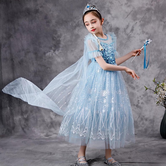 Luxury Frozen Elsa Sparkly Costume dress with cape 5019 - Picture 2 of 5